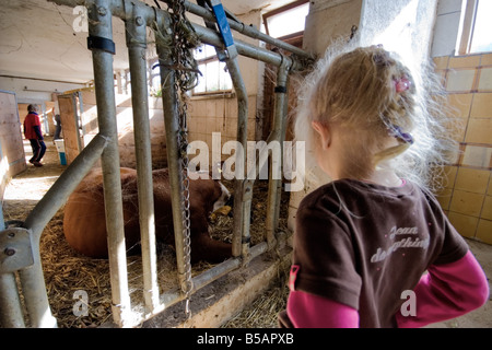 Junge Mädchen, die gerade eine Kuh und Kalb nach dem bewundern der Geburt Stockfoto