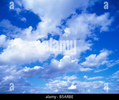 Wolkengebilde geschwollene weiße Wolken am blauen Himmel Stockfoto