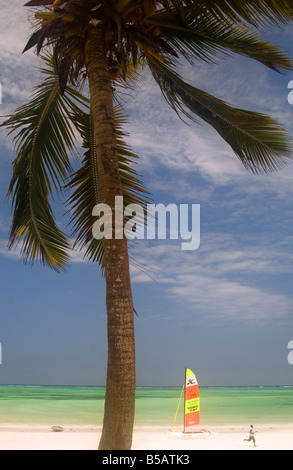 Ein Katamaran auf Kiwengwa Beach in der Nähe von Blue Bay Hotel Sansibar Tansania Ostafrika Africa Stockfoto