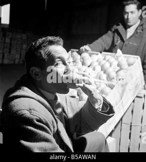 Essen: Obst: Orange: Orange Tester in Surrey Docks. März 1958 A658-003 Stockfoto