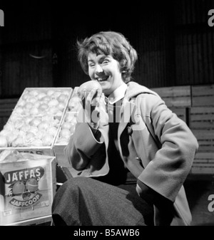 Essen: Obst: Orange: Orange Tester in Surrey Docks. März 1958 A658-009 Stockfoto