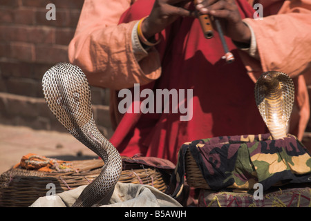 Snake Charmer Patan Bagmati Nepal Asien Stockfoto