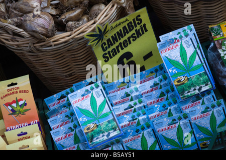 Cannabis Samen-Pakete für den Verkauf in den Bloemenmarkt (Blumenmarkt), Amsterdam, Niederlande, Europa Stockfoto