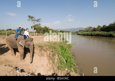 Elefanten im Anantara Golden Triangle Resort, Sop Ruak, Goldenes Dreieck, Thailand, Südostasien Stockfoto