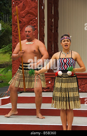 Begrüßung von den Nachkommen der Tuhourangi/Ngati Wahiao Stamm, Te Puia Wakarewarewa Geothermie Dorf, Rotorua, Neuseeland Stockfoto