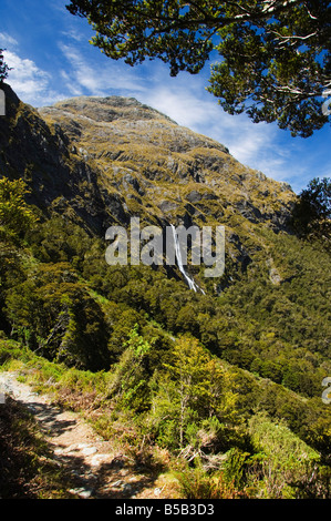 Earland Falls, auf dem Routeburn Track, geht einer der großen der New Zealand, Fjordland National Park, Neuseeland Stockfoto