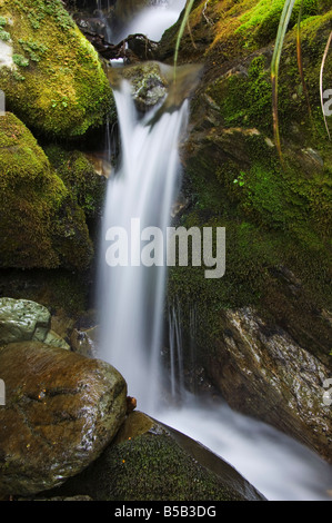 Ein Wasserfall auf dem Routeburn Track, geht einer der großen der New Zealand, Fiordland-Nationalpark, Südinsel, Neuseeland Stockfoto