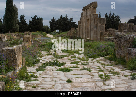 Decumanus (Main Street), punischen und römischen Aufstellungsort von Utica, Tunesien, Nordafrika, Afrika Stockfoto