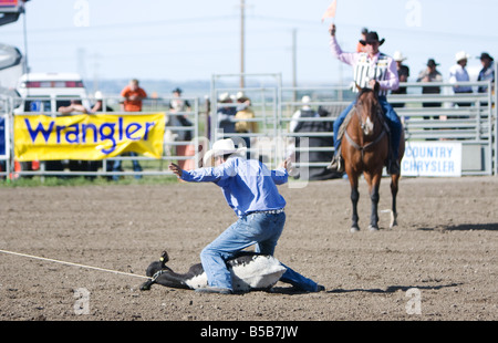 Ein Cowboy, jagt eine Kalb in das Kalb roping Wettbewerb bei einem Rodeo. Stockfoto