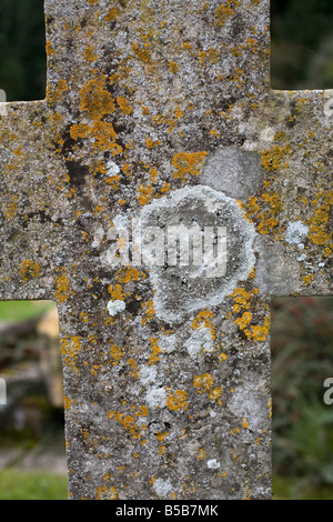 Flechten auf einem Grabstein Stockfoto