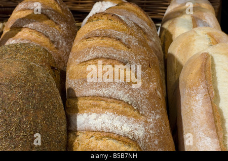 Frisches Brot Stockfoto