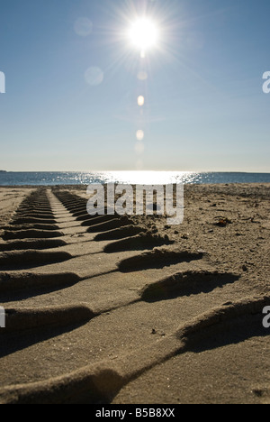 Spuren im Sand führt in Richtung Meer Stockfoto