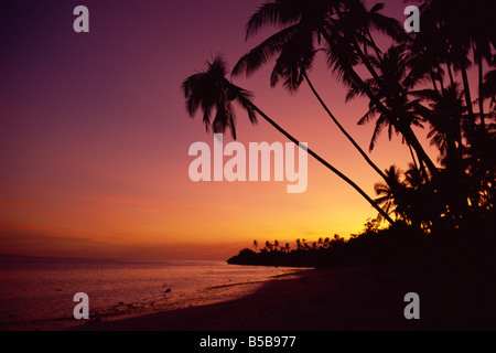 Palmen am Alona Beach Silhouette bei Sonnenuntergang auf der Insel Panglao, vor der Küste von Bohol, Philippinen, Asien Stockfoto