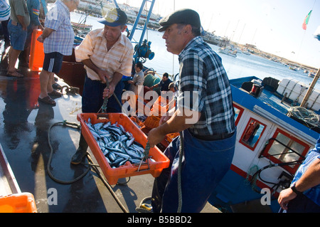 Angelboote/Fischerboote, Lagos, Algarve, Portugal, Europa Stockfoto