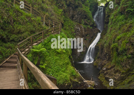 Besucher Gehweg und Schritte, Ess-Na-Larach Wasserfall Glenariff Country Park, County Antrim, Ulster, Nordirland Stockfoto