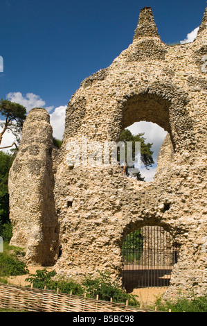 König Johns Castle wo König Johann residierte vor der Unterzeichnung der Magna Carta 1215, Odiham, Hampshire, England, Europa Stockfoto