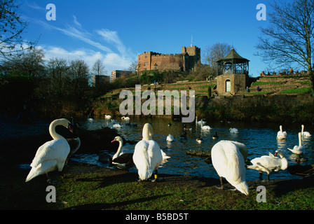 Burg und Fluss Teme Tamworth Staffordshire England England Europa Stockfoto