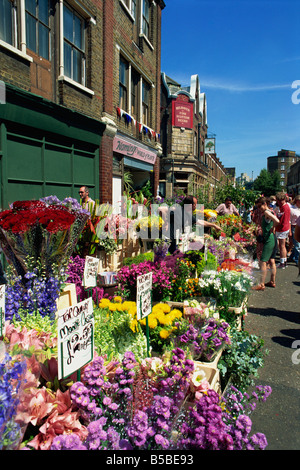 Lebendige Ausstellungen von Schnittblumen am östlichen Ende Sonntag Blumenmarkt, Columbia Road, London, England, Europa Stockfoto