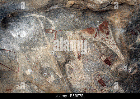 Fünf tausend Jahre alten Höhlenmalereien in Lass Geel Höhlen, Somaliland, Nordsomalia, Afrika Stockfoto