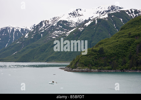 Schneebedeckte Berge und Eisstrom in den Gewässern in der Nähe von Hubbard-Gletscher in Alaska Stockfoto