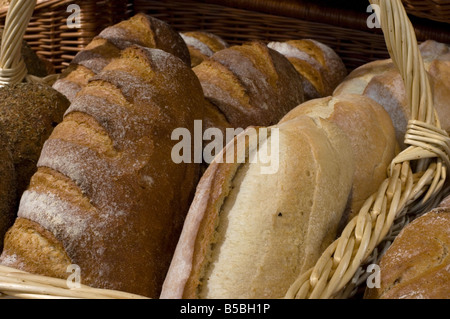 Frisches Brot Stockfoto