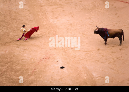 Stierkampf in Plaza de Toros während San Fermin Festival, Pamplona, Navarra, Baskenland, Spanien, Europa Stockfoto