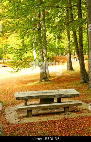 Stone-Tisch in einem Wald. Pyrenäen-Spanien Stockfoto