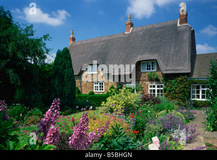 Strohgedeckten Hütten mit Gärten voller Sommerblumen in Hampshire England Großbritannien Europa Stockfoto