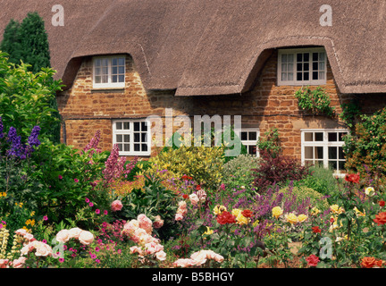 Strohgedeckten Hütten mit Gärten voller Sommerblumen in Hampshire England Großbritannien Europa Stockfoto