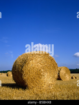 Strohballen auf einem Feld nach der Ernte bei Scheunen Green in Sussex England Großbritannien Europa Stockfoto