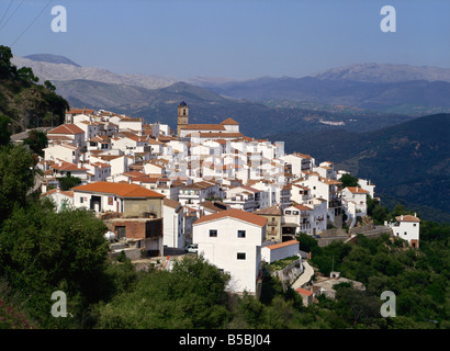 Das weiße Dorf Algatocin in Andalusien, Spanien, Europa Stockfoto