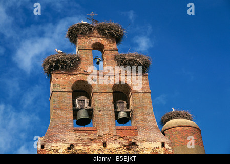 Störche nisten auf Pfarrkirche Villar de Mazarife Leon Spanien Europa Stockfoto