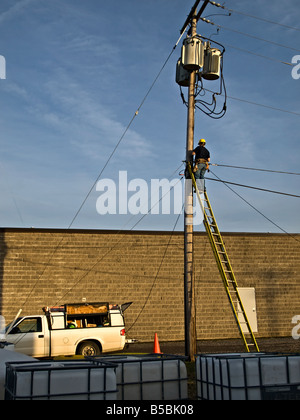 Telefon-Dienstprogramm Linie Mann auf der Arbeitsfläche auf der pole Stockfoto