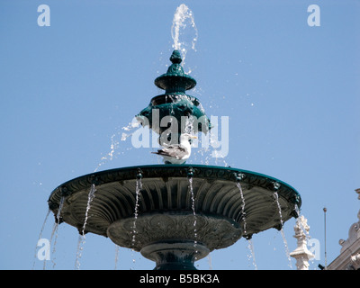 Möwe auf einem barocken Brunnen in Rossio (Praça Dom Pedro IV), Lissabon, Portugal Stockfoto