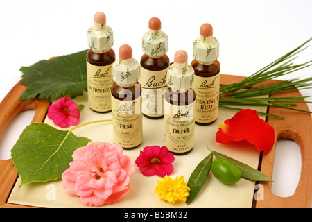 Bach-s Heilmittel Blumenstilleben Stockfoto