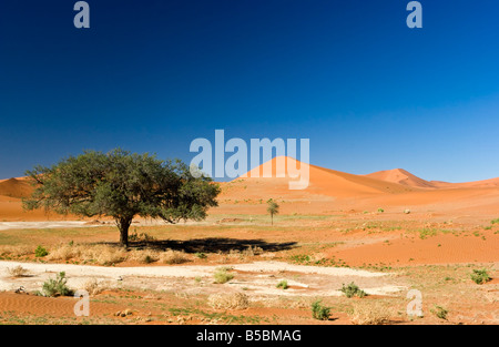 Sanddünen in der Namib-Naukluft National Park, Namibia Stockfoto