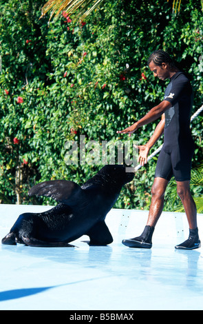 Freizeitpark Manati in der Nähe von Punta Cana Dominikanische Republik Karibik Stockfoto