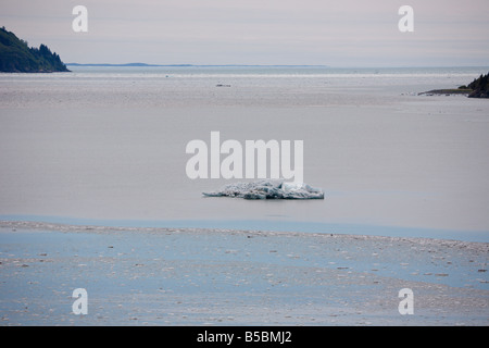 Eisberg vom Hubbard Gletscher fließt in Ernüchterung Bay und Yakutat Bay in Alaska Stockfoto