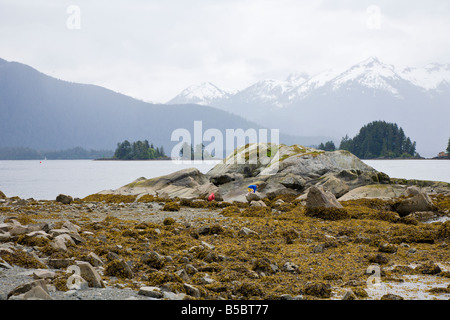 Zwei Kinder klettern auf Felsen an der Küste des östlichen Ärmelkanal in Sitka, Alaska Stockfoto