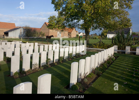 Ackerland und Kopf Steinen von britischen und Commonwealth-Soldaten getötet in Endphase des 1. Weltkrieges auf Vis-En-Artois Krieg Grab Friedhof Stockfoto