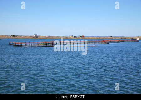 Reusen auf Grand Manan Island ist eine kleine Insel von der Küste von New Brunswick auf Kanada s Atlantikküste Stockfoto