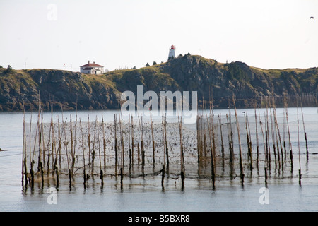 Leuchtturm & Fishing nets auf Grand Manan Island eine kleine Insel der Küste von New Brunswick Kanada s Atlantic Coast Kanada Stockfoto