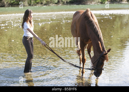 Teenager-Mädchen in seichten Fluss halten ihr trinken Pferd stehend Stockfoto