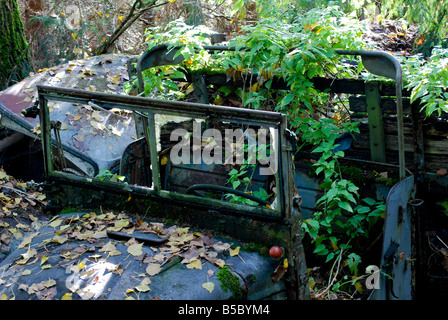 Rost reklamiert langsam einen alten LKW sitzen in den Schrottplatz Autofriedhof Gurbetal Schweiz Stockfoto