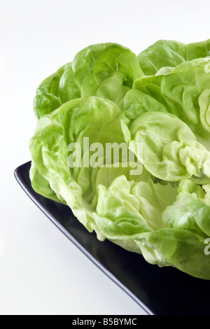 frischen Salatblättern auf einer schwarzen Platte Stockfoto