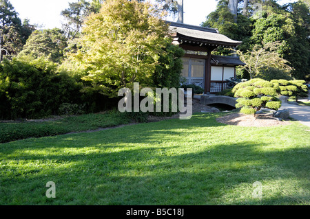 Japanische Teegarten Golden Gate Park San Francisco Stockfoto