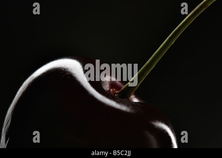 Sweet Cherry Nahaufnahme Stockfoto