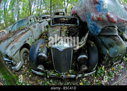 Eine alte Riley sitzt in den Wald-Schrottplatz am Autofriedhof Gurbetal Schweiz Stockfoto