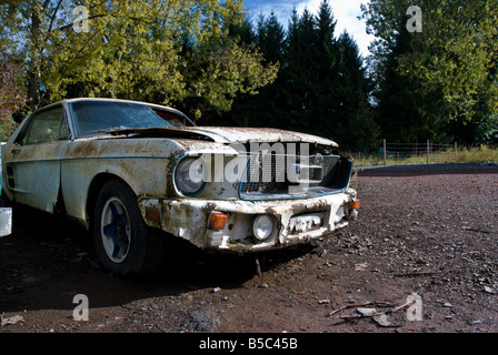 Alte Ford Mustang sitzt in einem Schweizer Schrottplatz Autofriedhof Gurbetal Schweiz Stockfoto