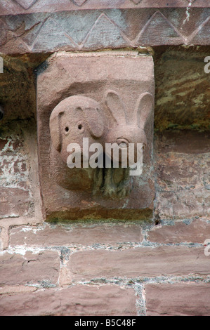 Hund & Hase Carven auf Corbel in Kilpeck Kirche in Herefordshire, England UK Stockfoto